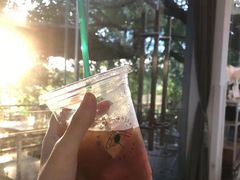 -马咖啡macup·意式轻餐·观景餐厅
