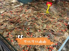 飞蟹-钱库里海鲜自助(星海广场店)