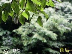 -宁波五龙潭景区