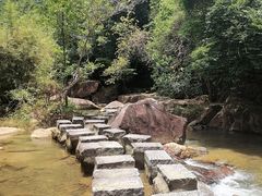 -广州白江湖森林公园