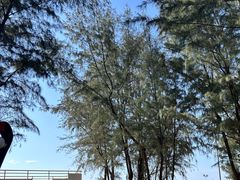 -玫瑰海岸文化旅游度假区