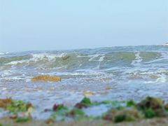 -日照灯塔风景区