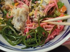 -邵年鸽(杨庄店)