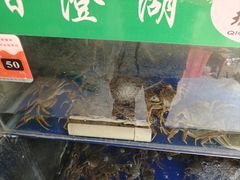 -阳澄湖大闸蟹·琼灵阁牌品牌连锁(吴中总店)