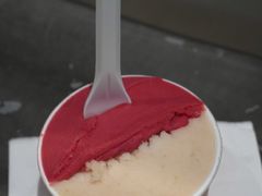 -Dip in Gelato(富民路店)