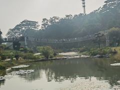 -东莞植物园