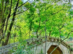 -青龙山国家森林公园