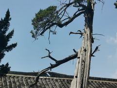 -江南第一家