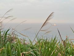 -温岭石塘海边
