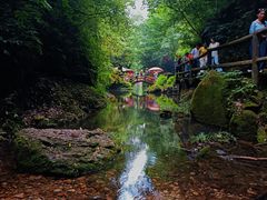 -青城山