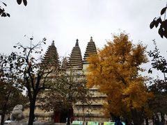 -北京石刻艺术博物馆(五塔寺)