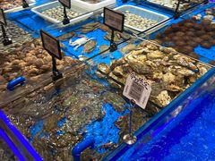 -鲜得莱渔港·小平岛海胆馆(七贤岭店)