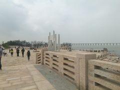 -宝安西湾红树林湿地公园