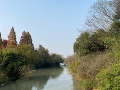 -西溪国家湿地公园