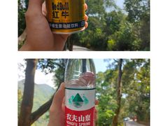 -梧桐山风景名胜区