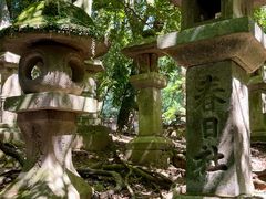 -奈良公园