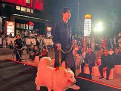 -砂之船奥特莱斯(合肥店)