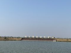 -南大港湿地风景区