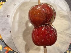 -羲和雅苑•北京烤鸭(平安国际金融中心店)