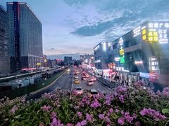 -骏景花园