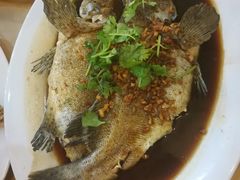 -大树下海鲜饭店
