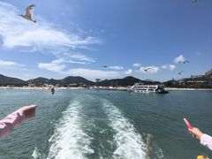 -海驴岛(荣成市)