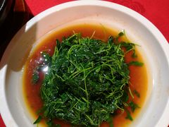 -宋园·金宴浙鲜馆(静安店)