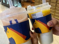 -春丽小马(济南恒隆广场店)
