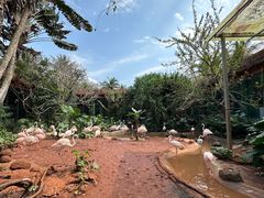-海南热带野生动植物园