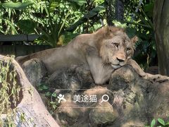 -海南热带野生动植物园