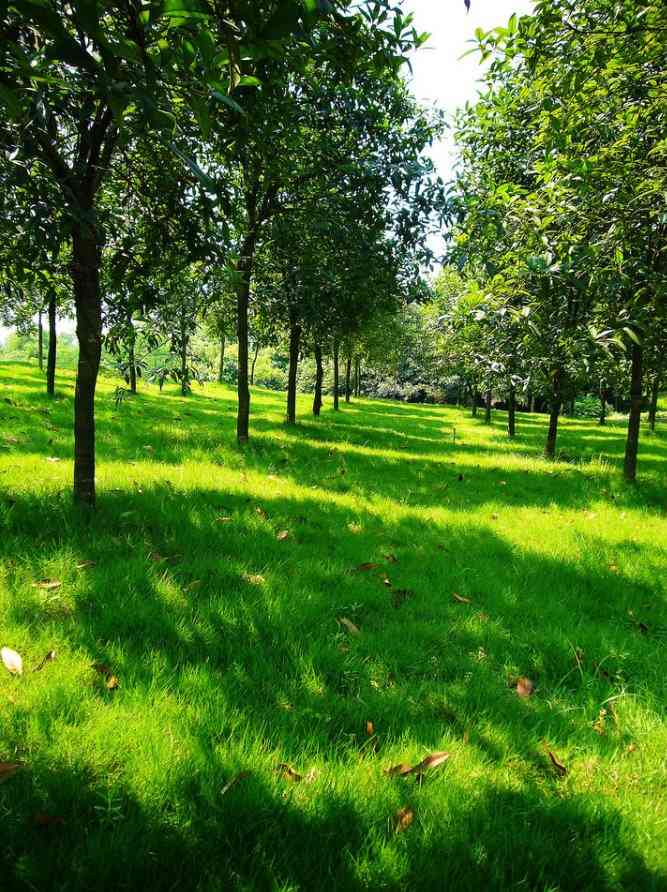 百林公园-"就在幸福广场旁边,今天是初五,往常堵车的.