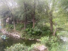 -无锡蠡湖国家湿地公园-蠡园