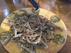 -乐山第一家临江鳝丝(茶坊路店)