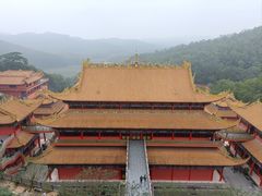 -东莞市大岭山森林公园