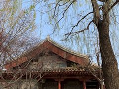 -元大都城垣遗址公园