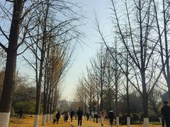 -徐州龟山景区