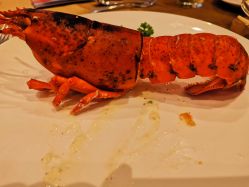 -西安威斯汀大酒店·宴会厅