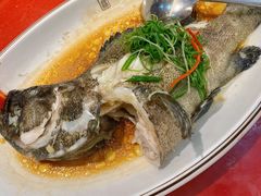 清蒸老虎斑-顺德佬(石厦店)