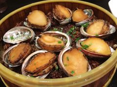 糯米蒸鲜鲍-新南华大酒店(广中店)