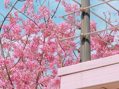 -福建鲤鱼洲酒店