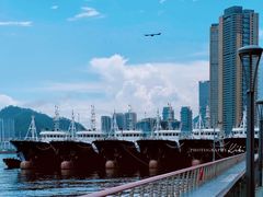 -深圳湾公园(南山区)