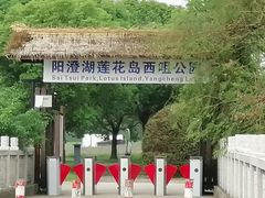 -莲花岛景区