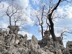 -张学良旧居陈列馆