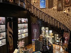 -雪灵魔法世界SHELLY’S TAROT(大良桂畔里店)