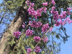 -天台山赤城山景区