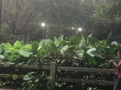 -白云山索道-售票处
