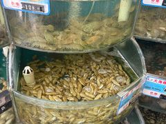 -叶存利海鲜大馅饺子(海宁路总店)
