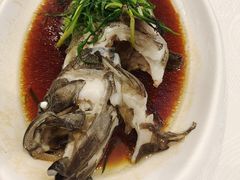 清蒸石斑鱼-金翠皇宫粤菜·点心·海鲜(科技园店)