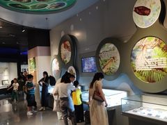 -安徽省地质博物馆