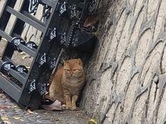 -广东温泉宾馆